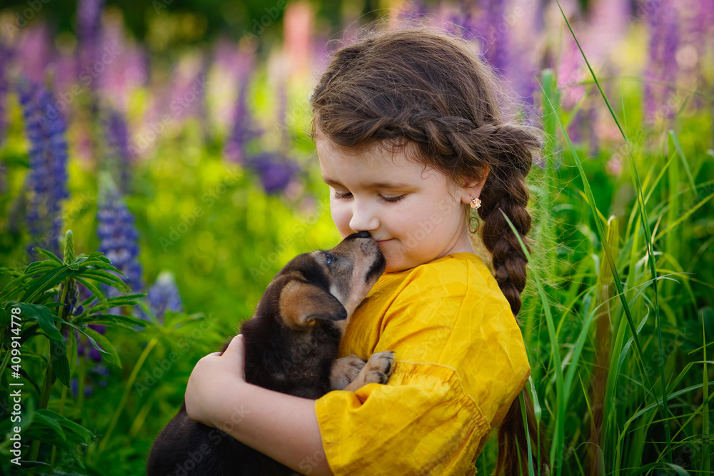A little girl holds a shepherd puppy in nature in a field with lilac flowers in the background. Tender love for a pet. Kissing a puppy. A little girl holds a shepherd puppy in nature in a field with lilac flowers in the background. Tender love for a pet. Kissing a puppy.