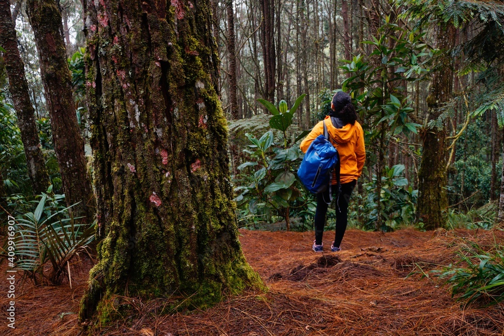 Brunette woman in yellow jacket and blue backpack standing next to a big tree in the forest