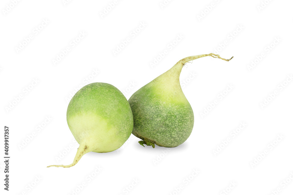 Fresh roots of green radish isolated on white background Fresh roots of green radish isolated on white background