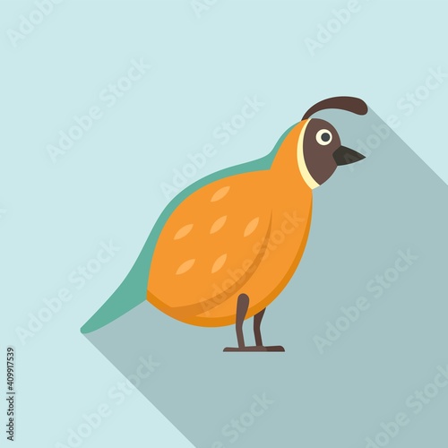 Quail fauna icon. Flat illustration of quail fauna vector icon for web design