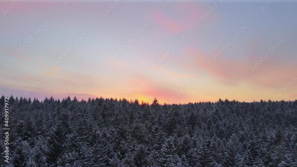 Magic sunset over snowy coniferous forest. Aerial panoramic view Magic sunset over snowy coniferous forest. Aerial panoramic view