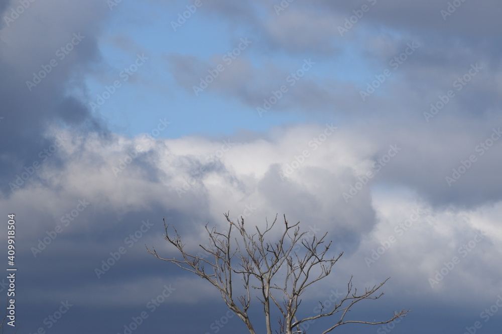 Obraz premium clouds in the sky