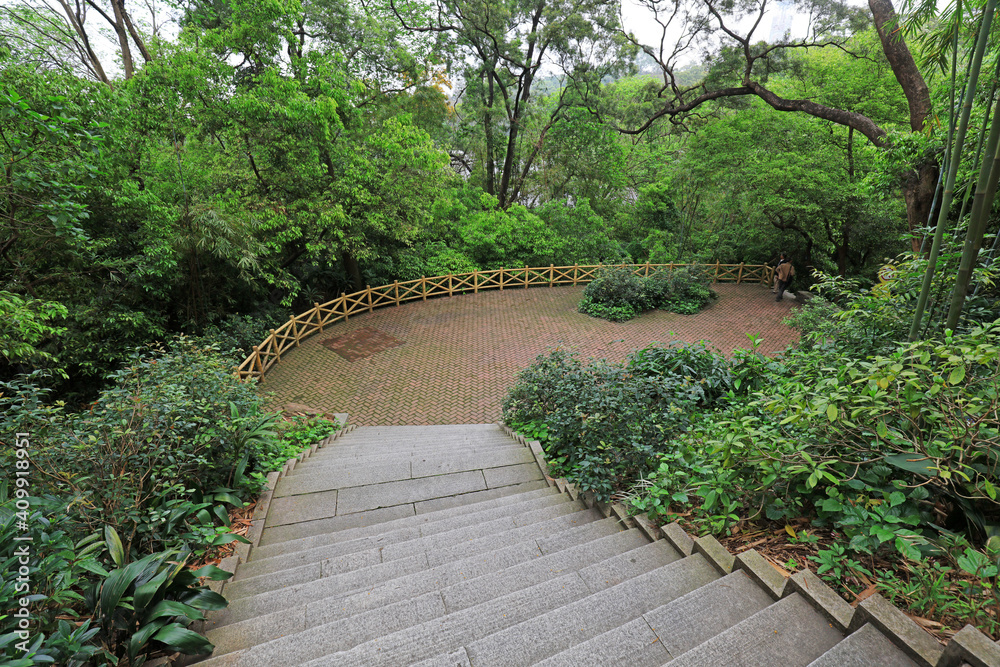 Scenery of bamboo forest scenic spot Scenery of bamboo forest scenic spot
