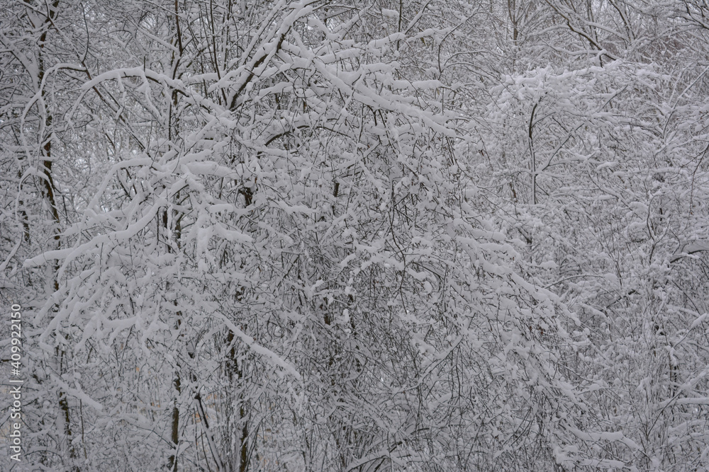 snow on the window snow on the window