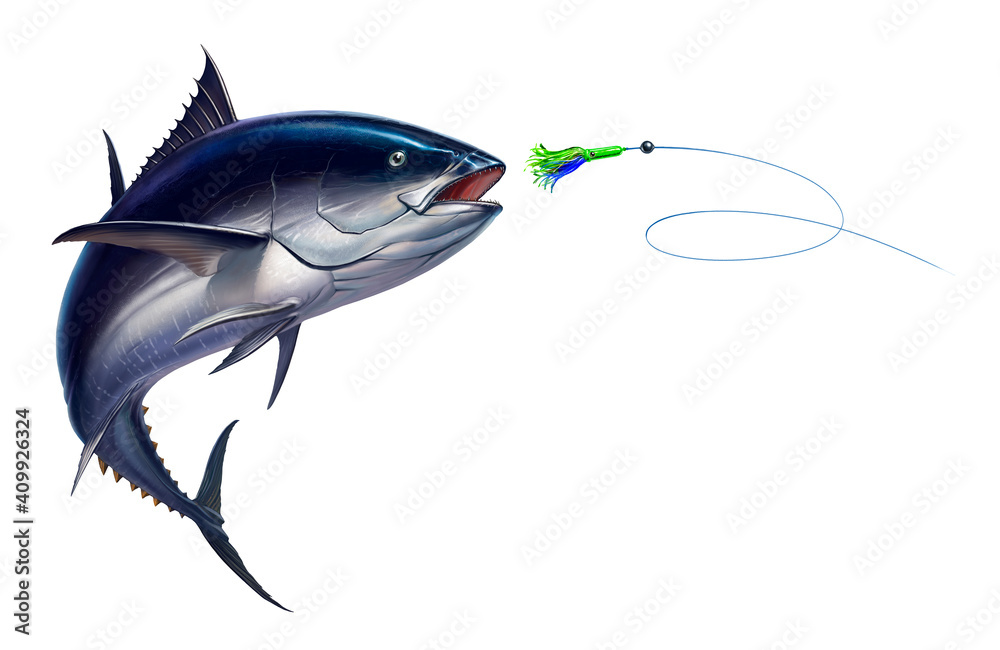 Dark tuna tuna fish, Bluefin tuna attacks Bait Sea Swim Squids