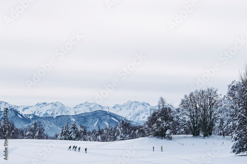 Panorama sur une station de ski de fond - Vue sur les montagnes enneigées