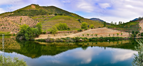 Mountain panorama of vineyards reflected in the river