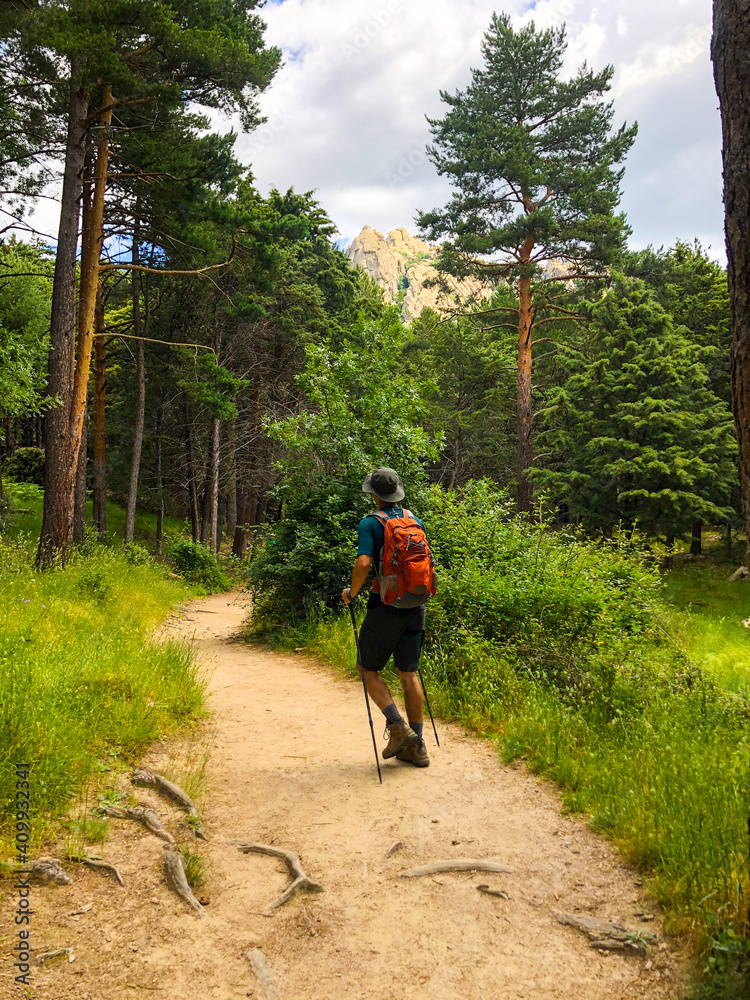 Obraz premium Hiker walking through the forest on the mountain of Madrid
