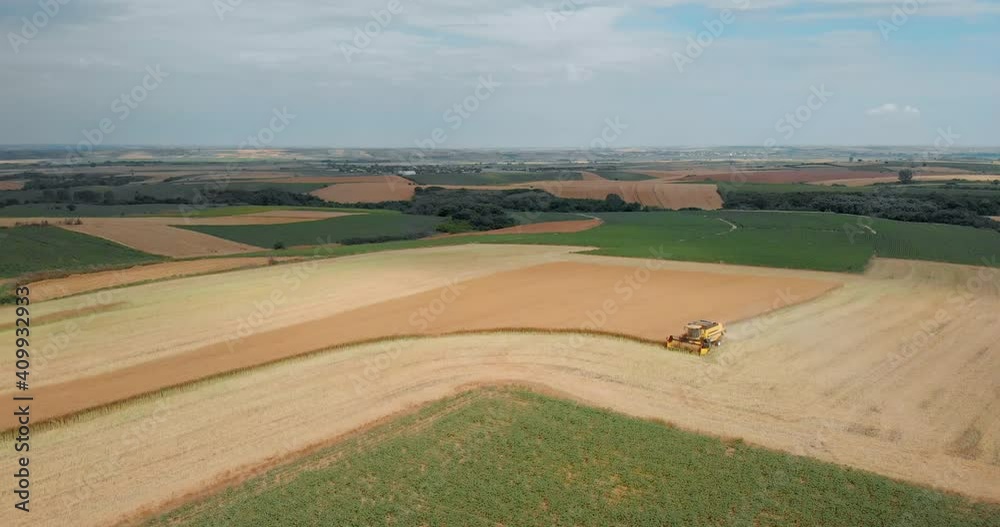 Drone Shot with Descending Wide Top View of Mowing Machine, Harvesting on Yellow Canola Field between Green Agricultural Farm Lands Drone Shot with Descending Wide Top View of Mowing Machine, Harvesting on Yellow Canola Field between Green Agricultural Farm Lands