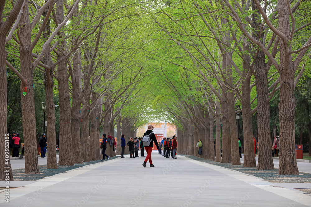 Tourists are playing in Ditan Park, Beijing, China Tourists are playing in Ditan Park, Beijing, China