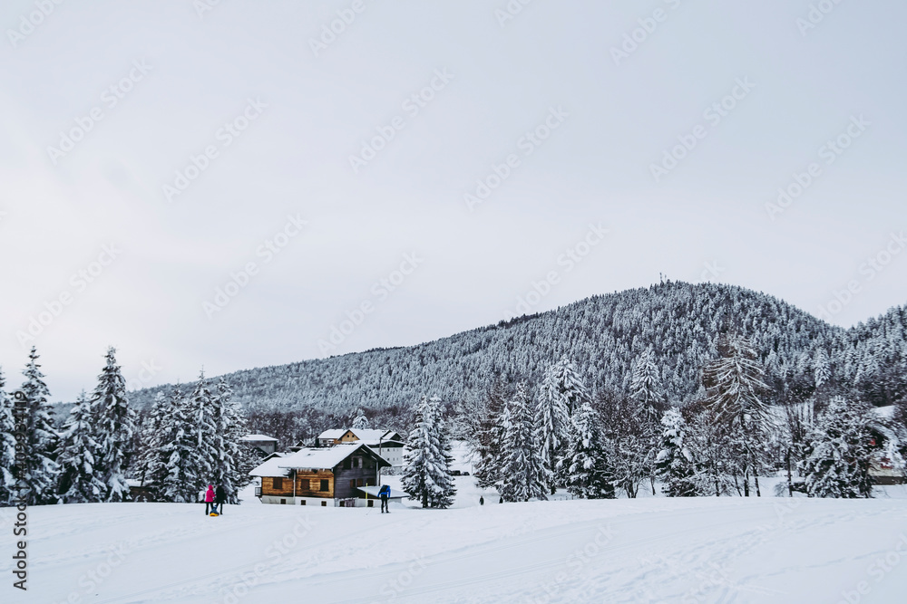 Panorama sur une station de ski de fond - Vue sur les montagnes enneigées