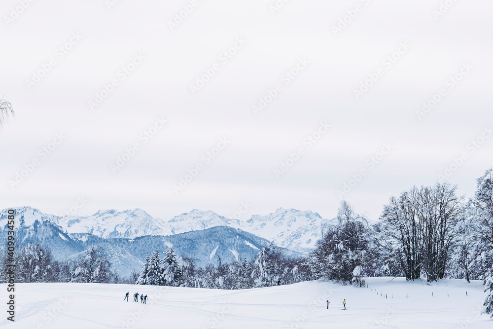 Panorama sur une station de ski de fond - Vue sur les montagnes enneigées