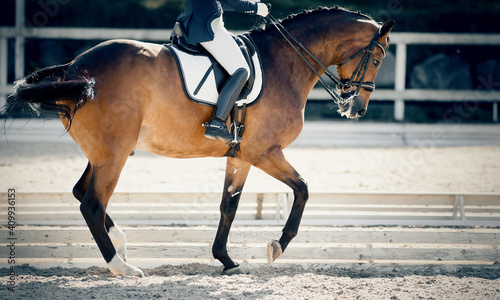 Equestrian sport. The leg of the rider in the stirrup, riding on a red horse. © Azaliya (Elya Vatel)