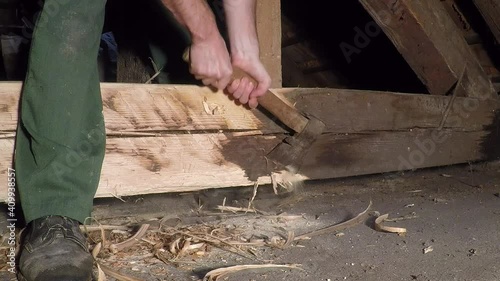 Chopping wood with an ax, prism infested with wood-destroying insects
