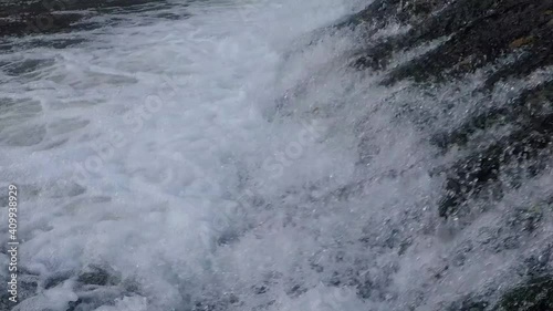 Fish jumping up in waterfall and going upstream for spawning
