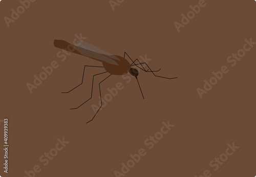 mosquito on a blood