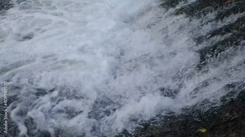 Fish jumping up in waterfall and going upstream for spawning
