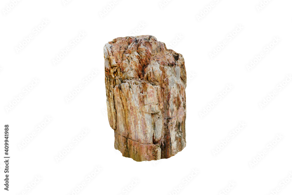 petrified wood rock stone isolated on white background. A big stone for garden decoration. petrified wood rock stone isolated on white background. A big stone for garden decoration.