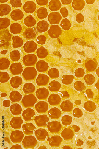 Background texture and pattern of a section of wax honeycomb with honey