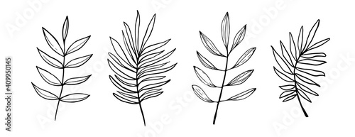 Floral Set of black hand drawn leaves and branches isolated on white. Collection of flourish elements for design. Vector illustration. Tropical palm branches