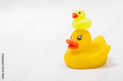 Cute small yellow rubber duckling on the top of the head of mama rubber duck