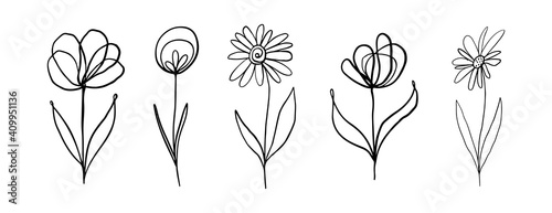 Botanical set of black hand drawn leaves and flowers isolated on white. Prosperity elements collection for design. Vector illustration. Flowers in one line