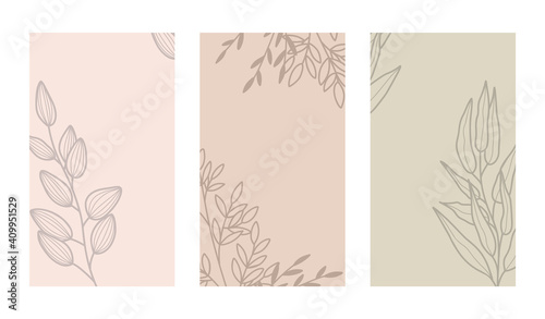 Set of templates with plant elements. Graphic leaves, branches, herbs. Create textures for social networks. Vector illustration.