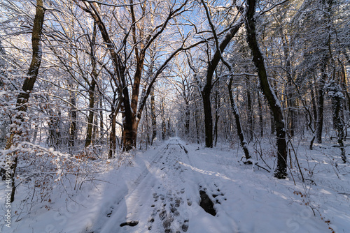 Winterlandschaft, Waldweg © Andreas Gruhl