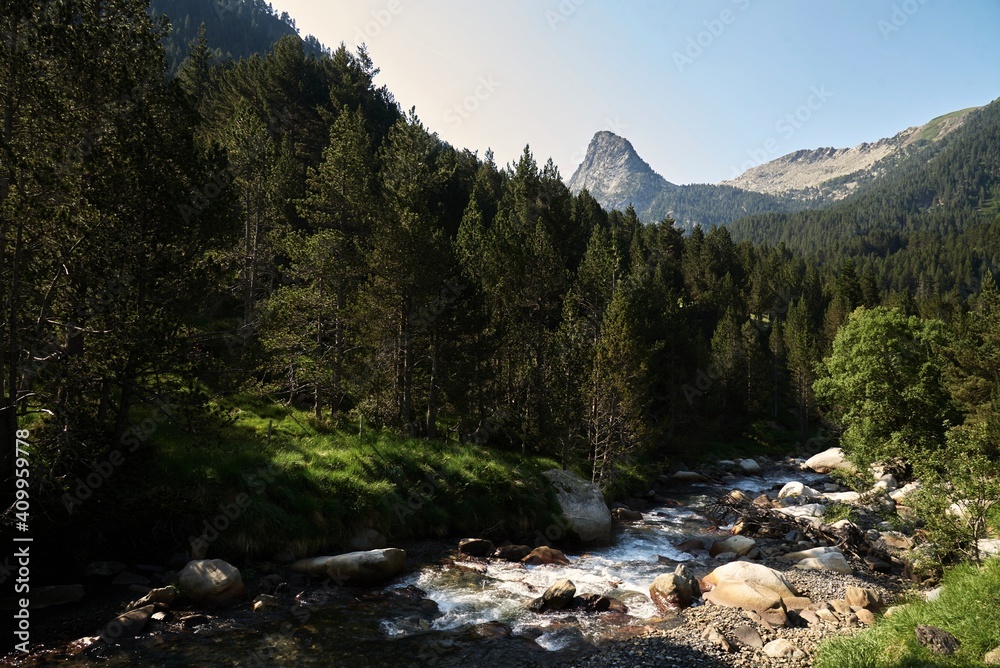 Picturesque scenery of fast mountain river with boulders flowing in evergreen woods on sunny day in summer Picturesque scenery of fast mountain river with boulders flowing in evergreen woods on sunny day in summer