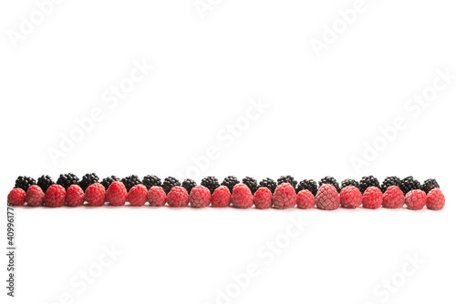 Raspberries and blackberry in a row isolated on white background.