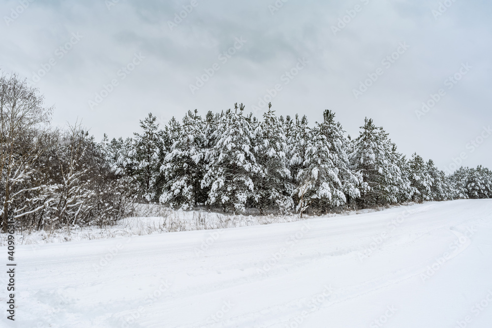 Dramatic winter landscape with spruce forest cowered with snow in cold frozen mountains. Gloomy overcast winter day in coniferous forest Dramatic winter landscape with spruce forest cowered with snow in cold frozen mountains. Gloomy overcast winter day in coniferous forest