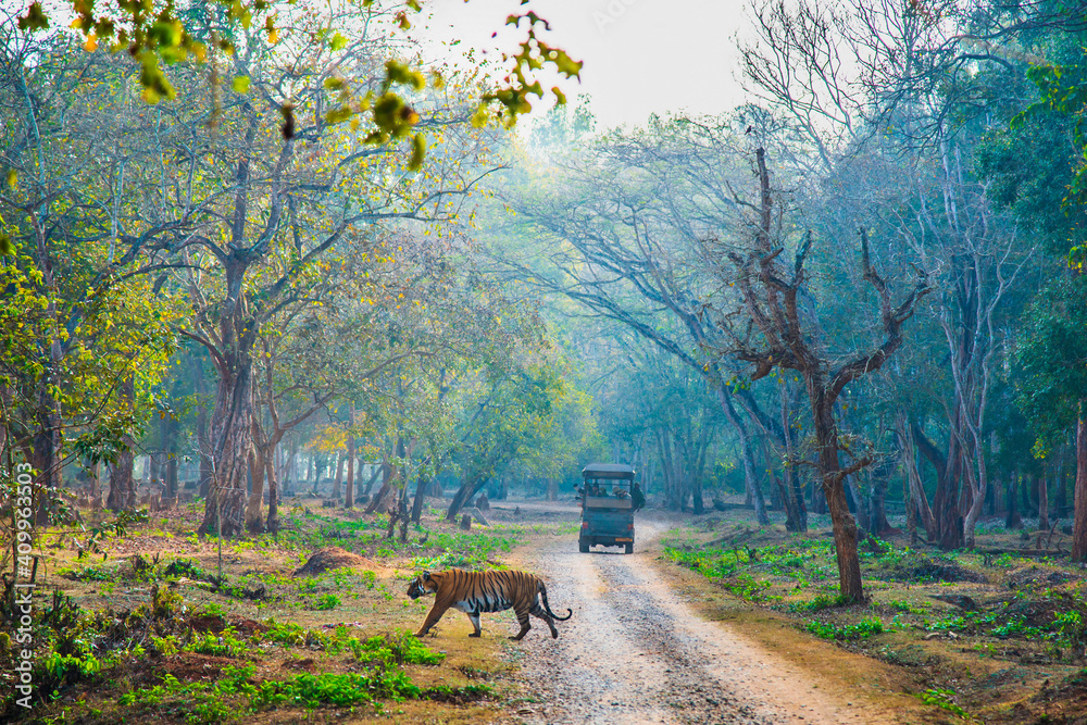 Best time to visit Nagarahole