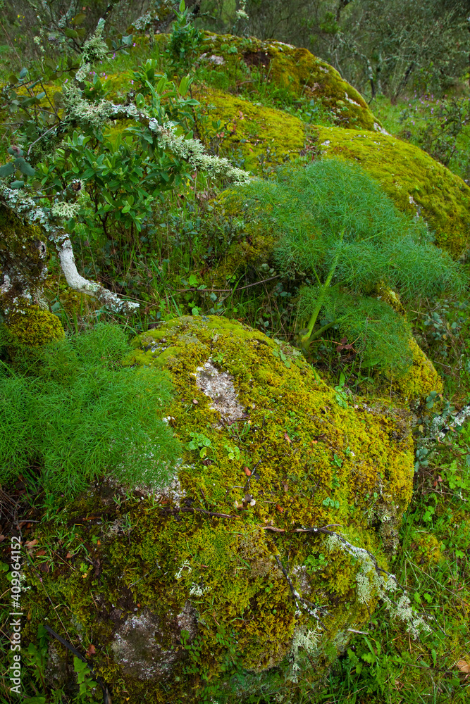 Parque Natural Sierra de Andújar, Jaen, Andalucía, España Parque Natural Sierra de Andújar, Jaen, Andalucía, España