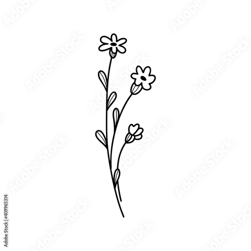 Hand drawing flower. Perfect for wedding invitations  greeting cards  blogs. Vector illustration isolated on white.