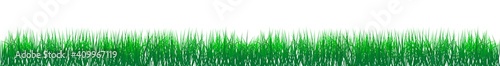 Grünes Gras vektor auf einem isolierten weißen Hintergrund.