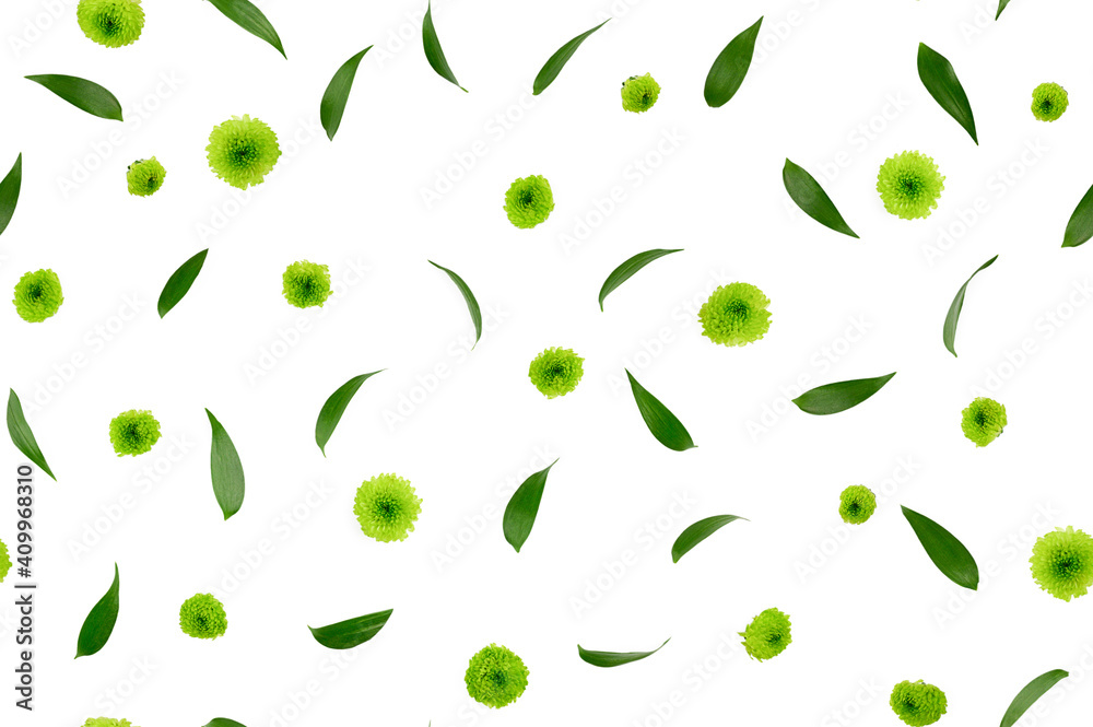 Flowers composition. Pattern made of chrysanthemums, isolated flat lay, top view, seamless pattern Flowers composition. Pattern made of chrysanthemums, isolated flat lay, top view, seamless pattern