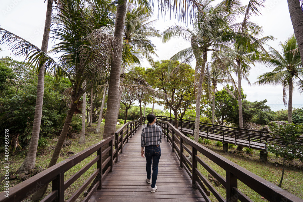 Back view of unrecognizable female traveler walking along wooden pathway and enjoying nature in exotic park with green palm trees on East Coast Back view of unrecognizable female traveler walking along wooden pathway and enjoying nature in exotic park with green palm trees on East Coast