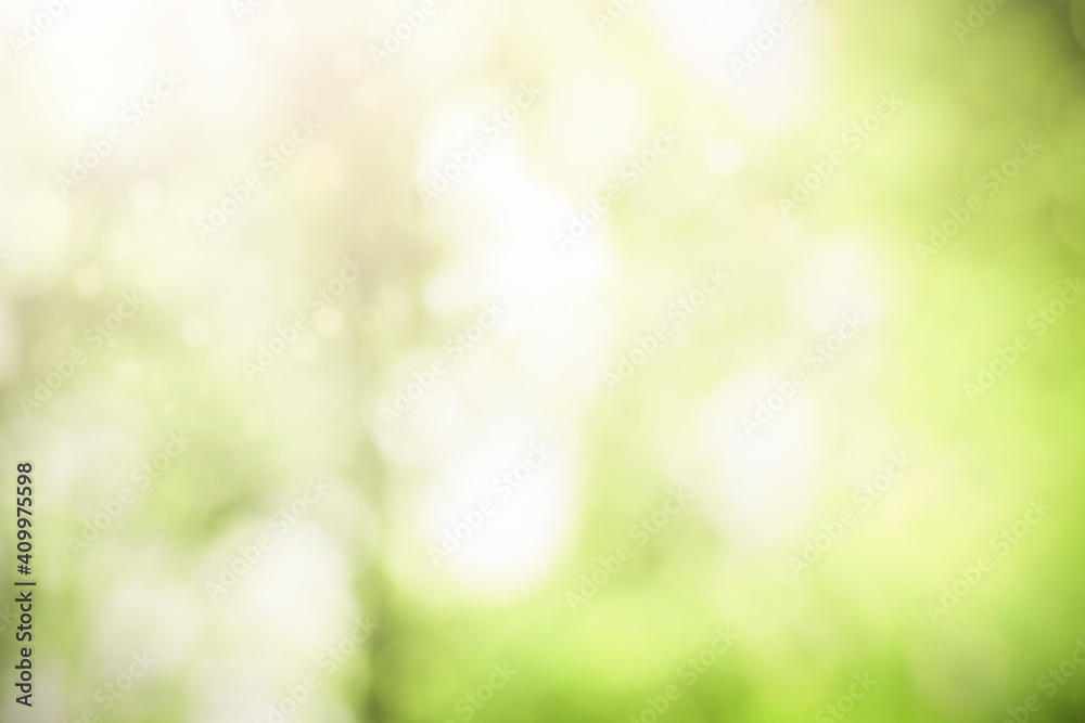 defocus trees background. natural background defocus trees background. natural background