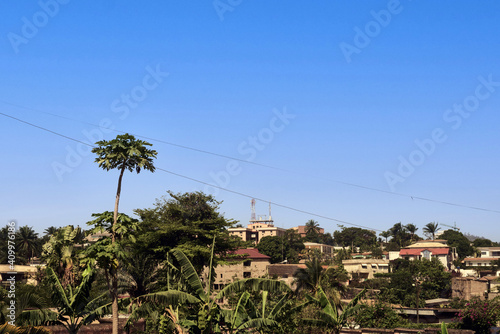 Big tree over Dragage and blue sky photo