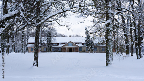 white snow has reached in the park and behind large linden tree trunks there is an old abandoned wooden manor © Rolands