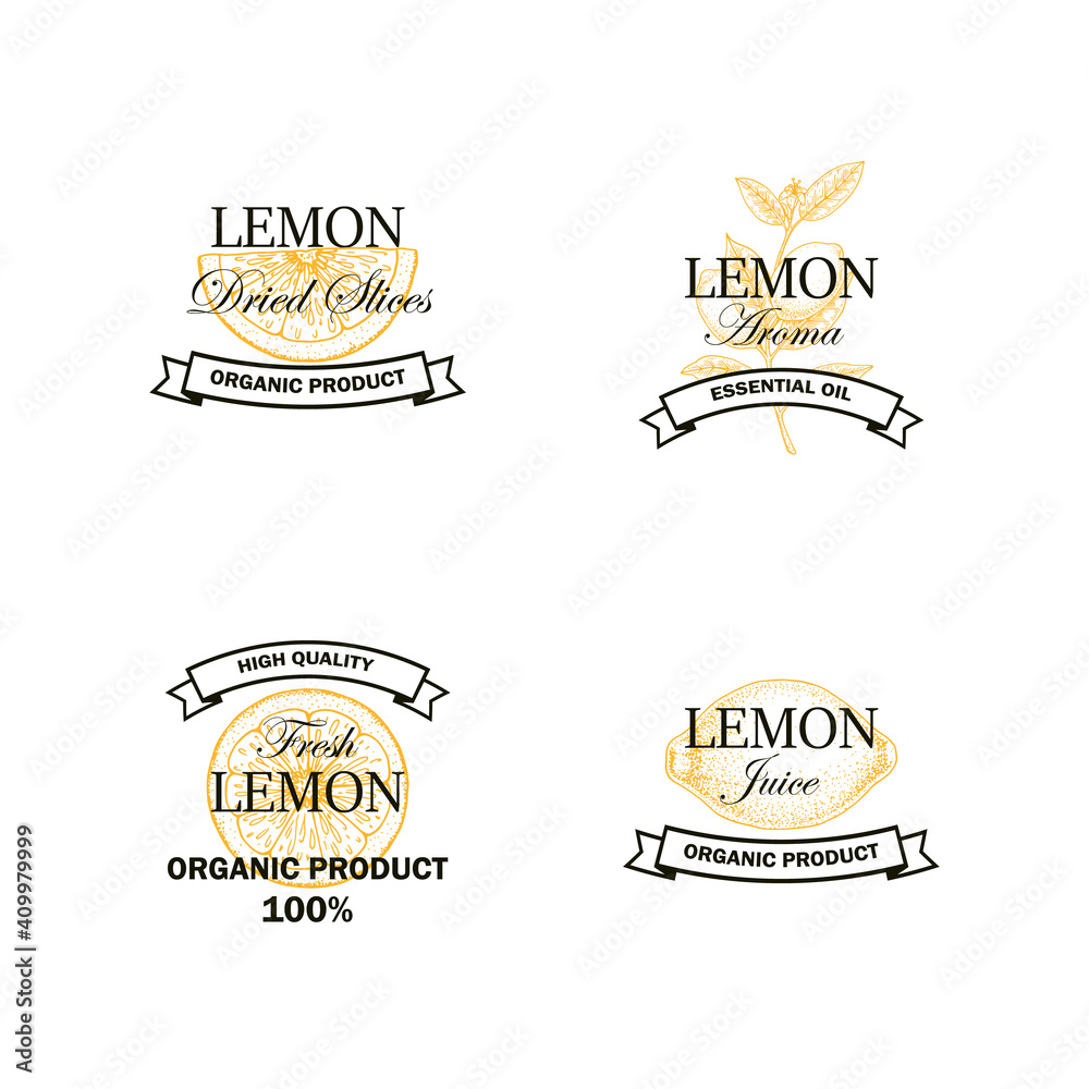 Set of Lemon fruit logo with hand drawn elements isolated on white background. Vector illustration in vintage style Set of Lemon fruit logo with hand drawn elements isolated on white background. Vector illustration in vintage style