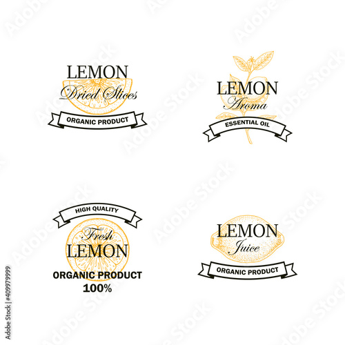Set of Lemon fruit logo with hand drawn elements isolated on white background. Vector illustration in vintage style