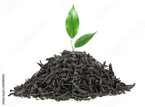 Pile of dried black tea with fresh green leaves isolated on a white background