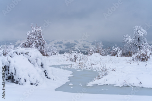 Stunning winter scenes along the shores of the Upper Zurich Lake (Obersee) near Rapperswil, St. Gallen, Switzerland © Luis