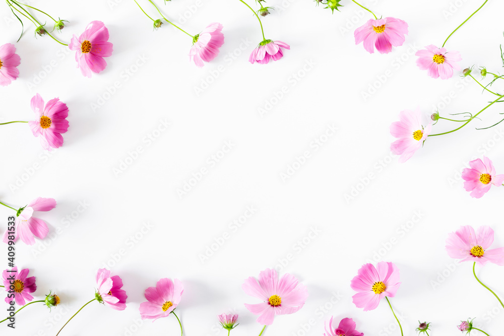 Beautiful flowers composition. Pink cosmos flowers on white background. Flat lay, top view, copy space