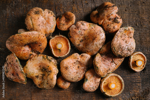 Top view heap of raw wild saffron milk cap or red pine mushrooms arranged on shabby wooden surface photo