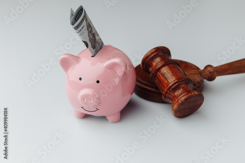 Gavel and pink piggy bank with dollar bill.