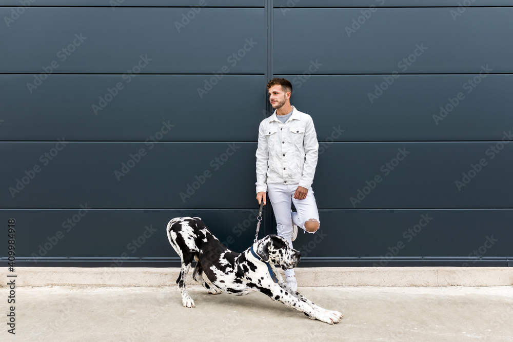 © Sergio Victor Vega/ADDICTIVE STOCK - Male owner standing with big Harlequin Great Dane dog during stroll in city and looking away