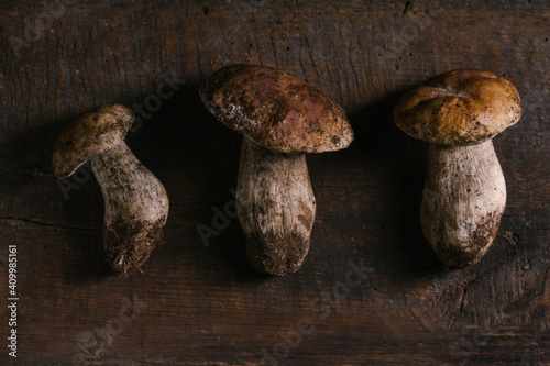 From above fresh Penny Bun mushrooms on wooden table in rustic kitchen photo