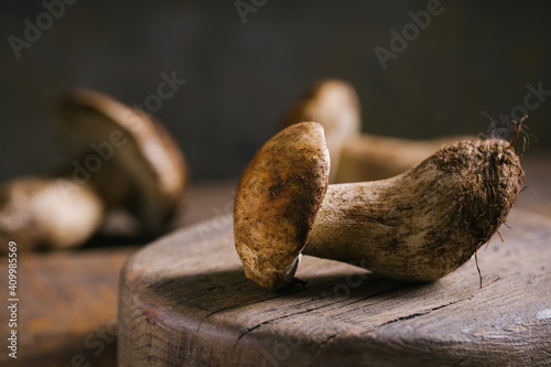Composition of raw whole porcini or cep mushrooms on cutting board in wooden rustic table photo